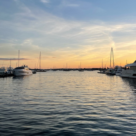 Meet your Posher, Annie - Picture 1 of 1